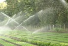 Bendigolandscaping-water-management-and-drainage-17.jpg; ?>